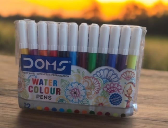 Doms colour pens 12 shades